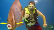 SOLSTICE -  Full Diving and Dive Instruction